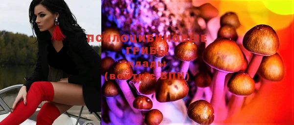 MESCALINE Няндома