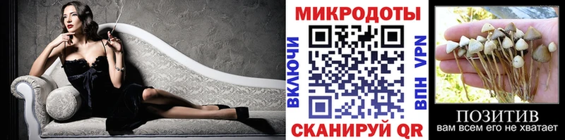 Галлюциногенные грибы Magic Shrooms  гидра зеркало  Тимашёвск  купить  сайты 